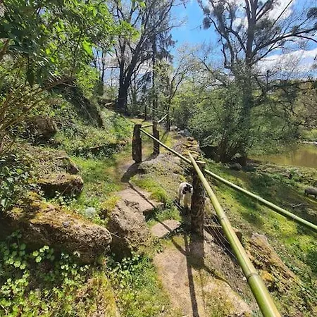 Hébergement de vacances Le Moulin De Froment 2 Gites De 8 Et De 12 Couchages, 10 Min Du Puy Du Fou