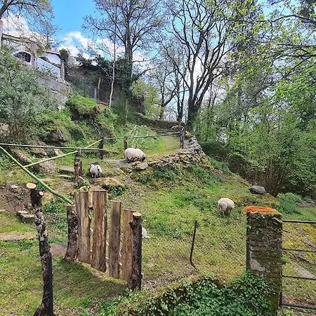 Le Moulin De Froment 2 Gites De 8 Et De 12 Couchages, 10 Min Du Puy Du Fou
