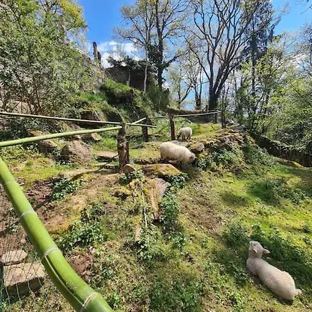 Le Moulin De Froment 2 Gites De 8 Et De 12 Couchages, 10 Min Du Puy Du Fou