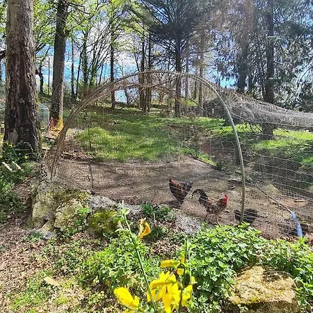 Le Moulin De Froment 2 Gites De 8 Et De 12 Couchages, 10 Min Du Puy Du Fou * Mallievre