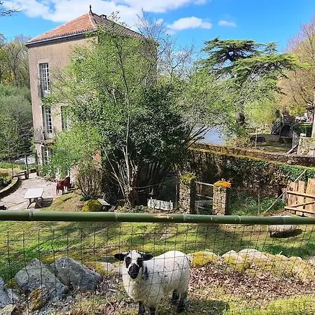 Le Moulin De Froment 2 Gites De 8 Et De 12 Couchages, 10 Min Du Puy Du Fou *