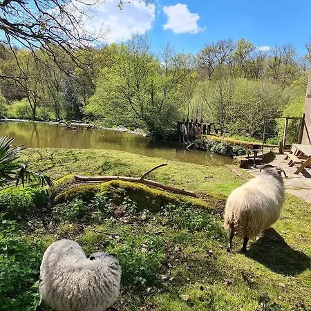 Le Moulin De Froment 2 Gites De 8 Et De 12 Couchages, 10 Min Du Puy Du Fou Hébergement de vacances Mallievre