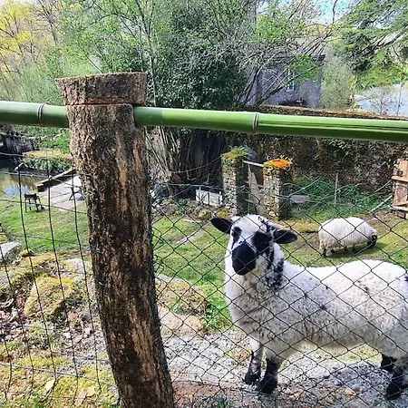 Hébergement de vacances Le Moulin De Froment 2 Gites De 8 Et De 12 Couchages, 10 Min Du Puy Du Fou Mallievre