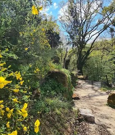 Le Moulin De Froment 2 Gites De 8 Et De 12 Couchages, 10 Min Du Puy Du Fou * Mallievre